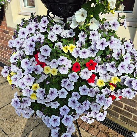 Dorset Arms Hotel Уолсенд Экстерьер фото