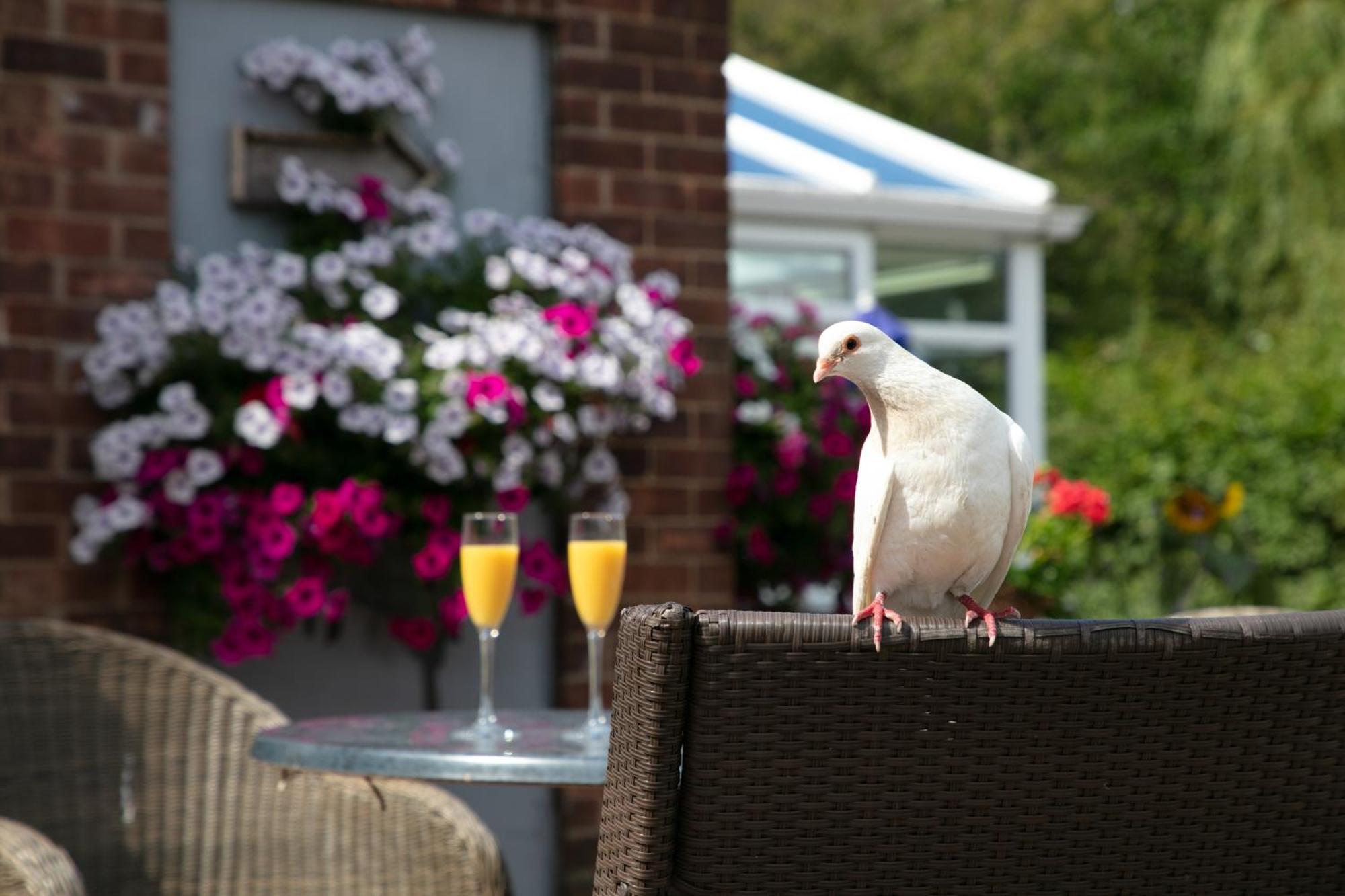 Dorset Arms Hotel Уолсенд Экстерьер фото